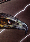 Kraa - tome 2 - L'Ombre de l'aigle