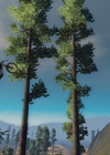 Trials Evolution
