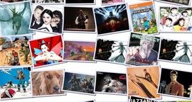 Récapitulatif du 14/05 au 20/05 - La semaine Krinein