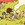 Aventures de Steve et Angie - Tome 2 - Grillades romantiques