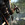 Assassin's Creed 3 - Vidéo de gameplay