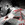 Catch - Impact Wrestling - Sacrifice - 2012