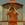 La critique de Moonrise Kingdom