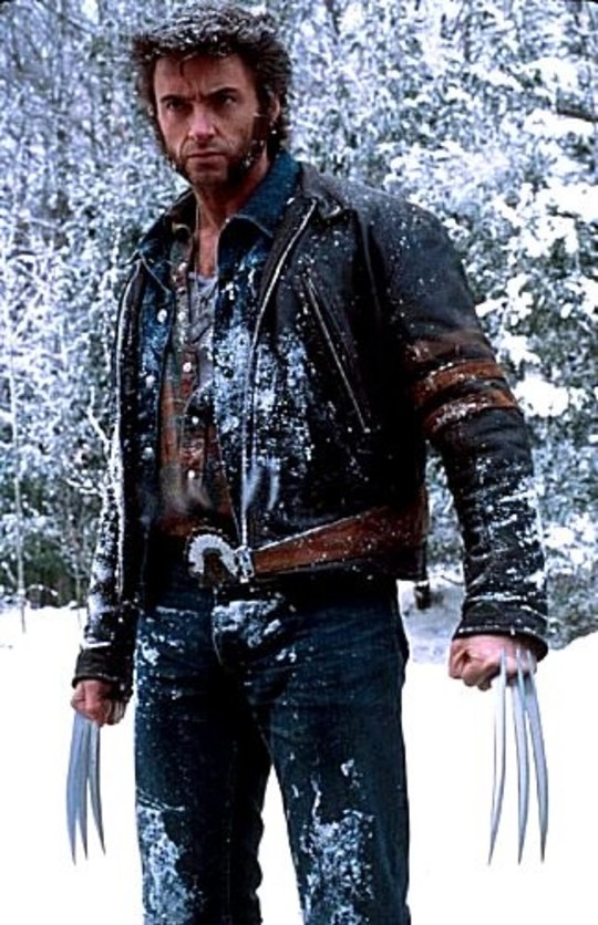 Logan / Wolverine (Hugh Jackman)