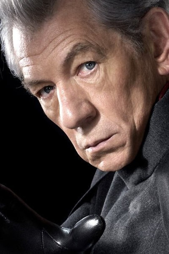 Erik Lehnscherr / Magneto (Ian McKellen)