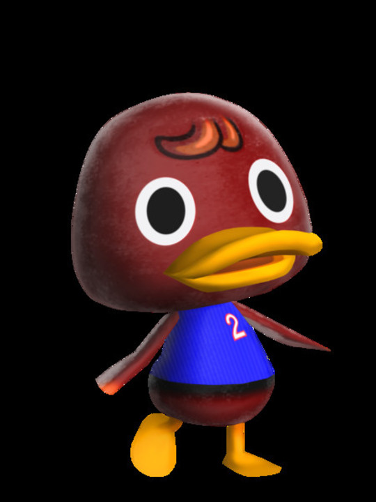 DR