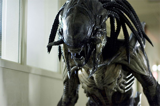 le 'Predalien'