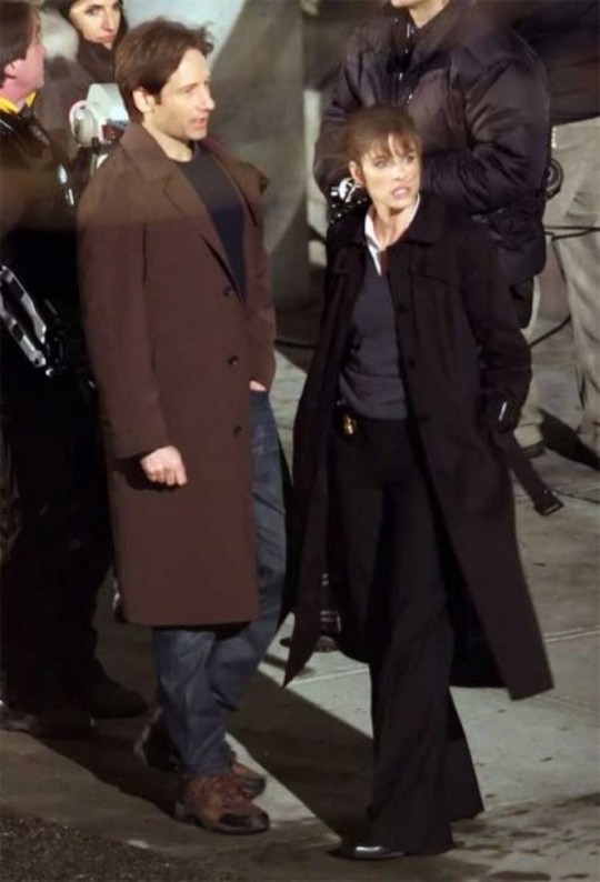 David Duchovny et Amanda Peet