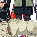 Naruto vol 34