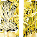 Death Note vol 10
