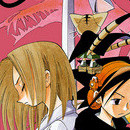Shaman King vol 19