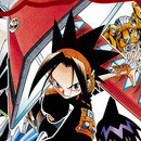 Shaman King vol 24