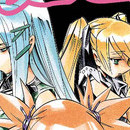 Shaman King vol 29
