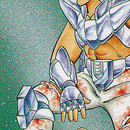Saint Seiya vol 05