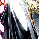 Samurai Deeper Kyo vol 11