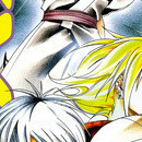 Samurai Deeper Kyo vol 14