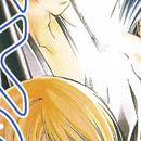 Samurai Deeper Kyo vol 30