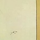 Tome 13