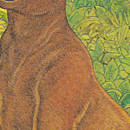 Encyclopédie des animaux de la préhistoire