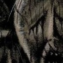 Higanjima, l'île des vampires vol 07