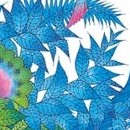 Complément Affectif vol 01