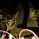 Inugami, le réveil du Dieu chien vol 01