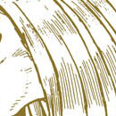 Kirihito vol 04