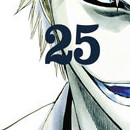 Bleach vol 25