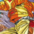 Saru Lock vol 11