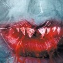 Tome 3 (2008)