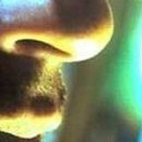 Affiche teaser