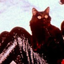 Catwoman