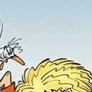 Tome 11