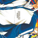 Prince du Tennis vol 22