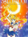 sailor moon vol 06