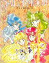 sailor moon vol 13