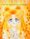 sailor moon vol 18