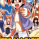 Negima ! Le maître magicien vol 15