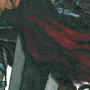 Berserk vol 29