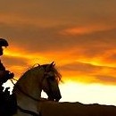 Lonesome cow-boy...