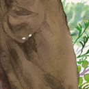 mushishi vol 01