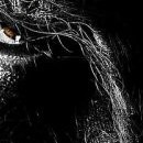 Affiche teaser