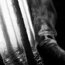 Affiche teaser