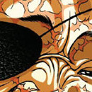 Baki vol 15