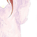 Puzzle vol 01