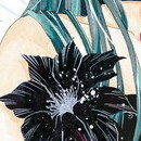 Little Queen vol 03