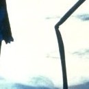 Jack et Sally