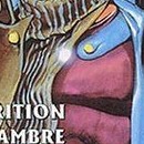 Jojo's Bizarre Adventure - Stardust Crusaders vol 09