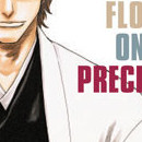 Bleach vol 12