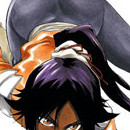 Bleach vol 17
